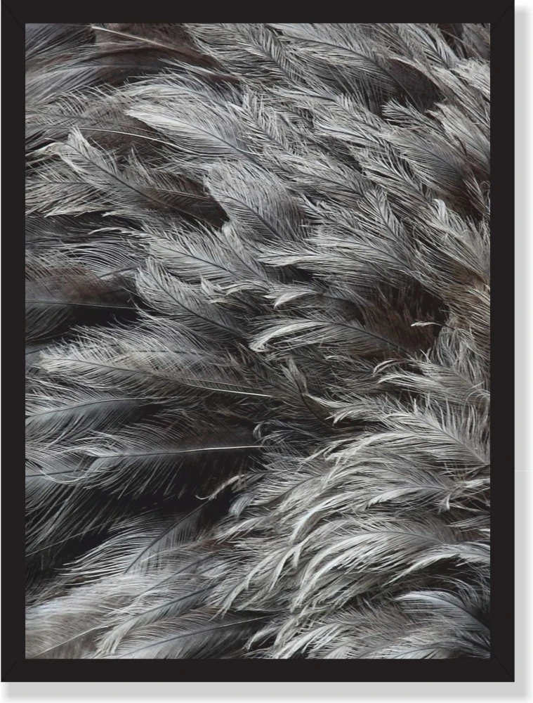 plakat 70x100