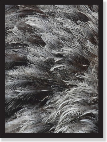 plakat 70x100