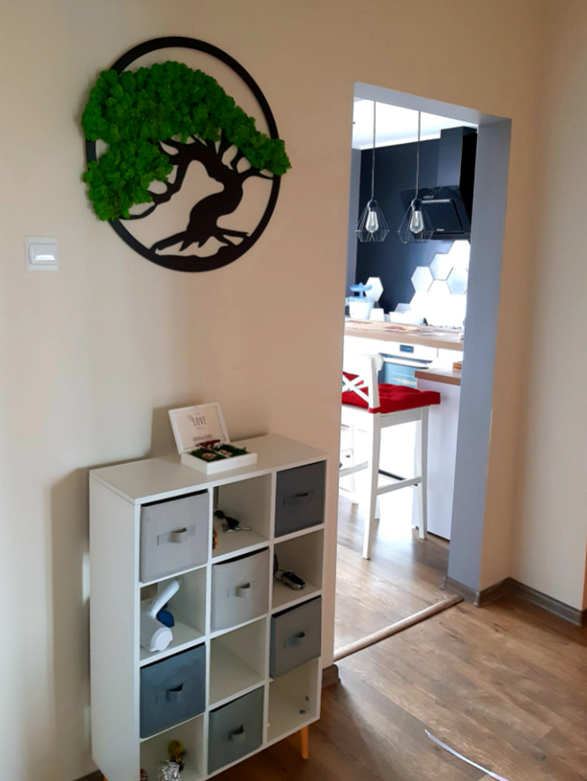 drzewo chrobotek bonsai