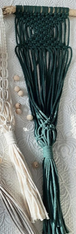 kwietnik na gałęzi