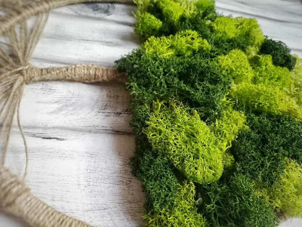 dekoracja z chrobotkiem