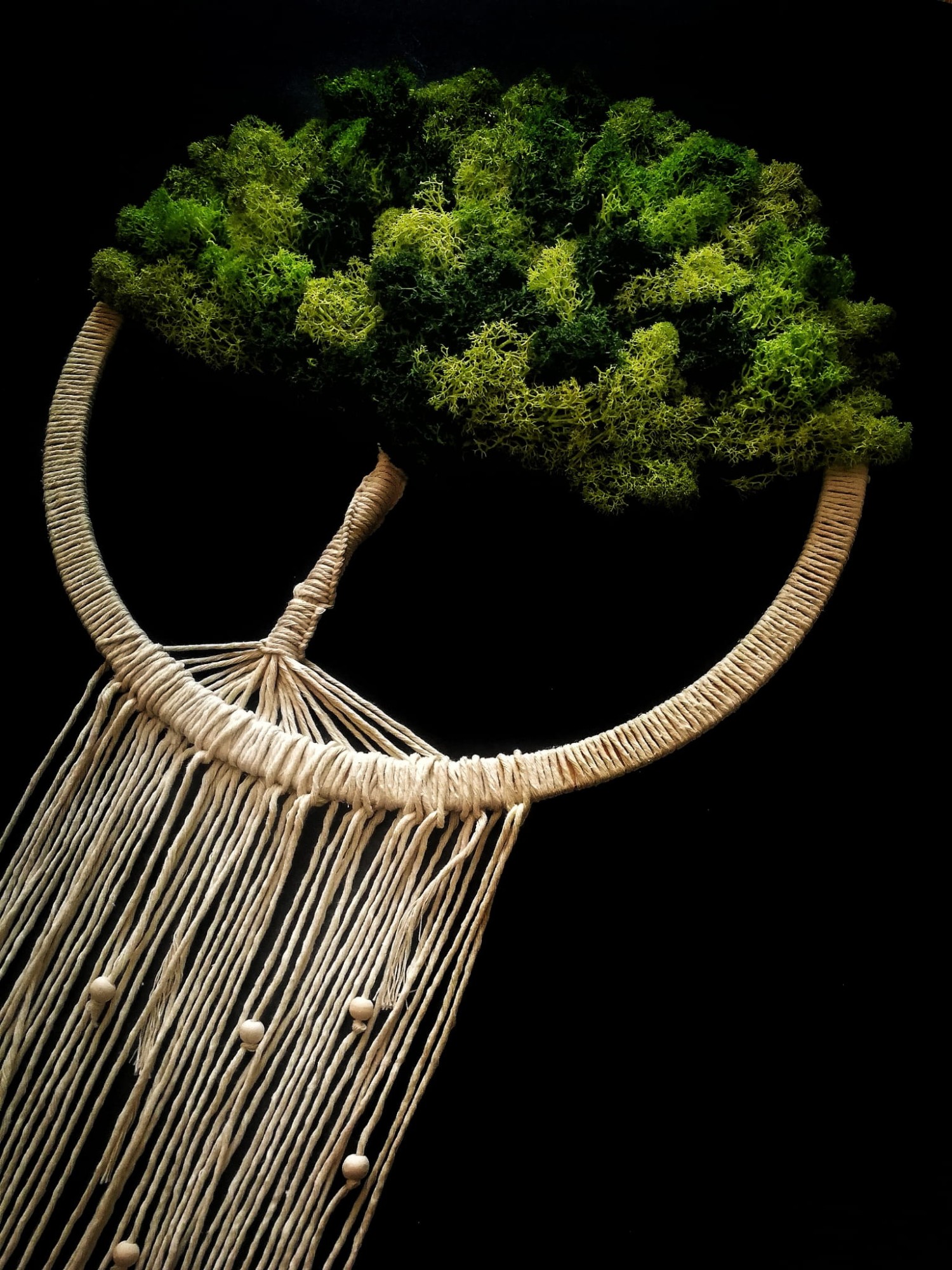 drzewko szczęścia z chrobotkiem