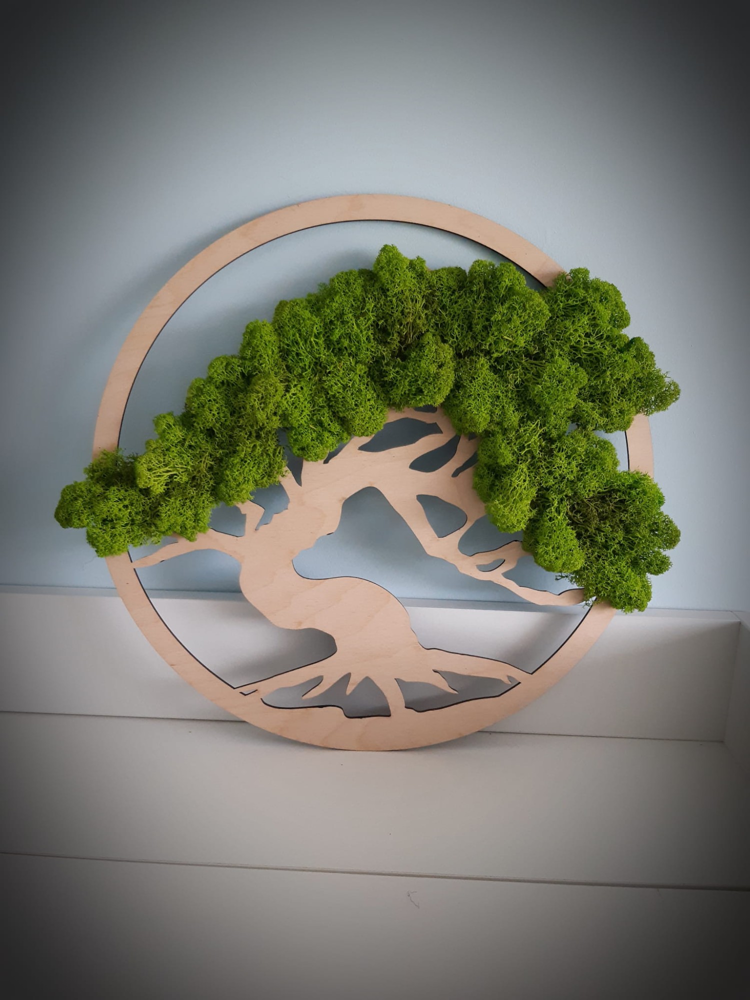 drzewko bonsai z chrobotkiem chrobotek