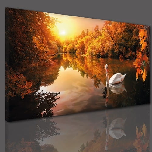obraz na płótnie canvas jesień