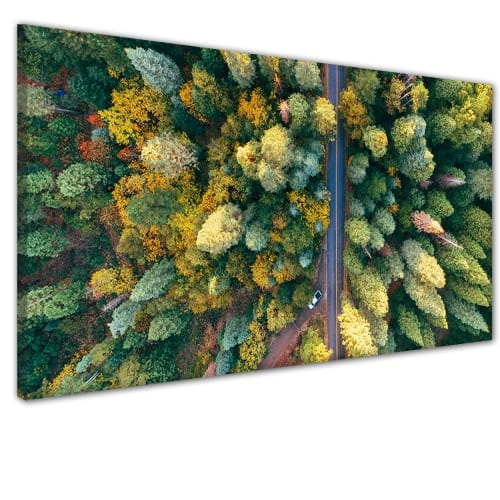 obraz na płótnie canvas jesień