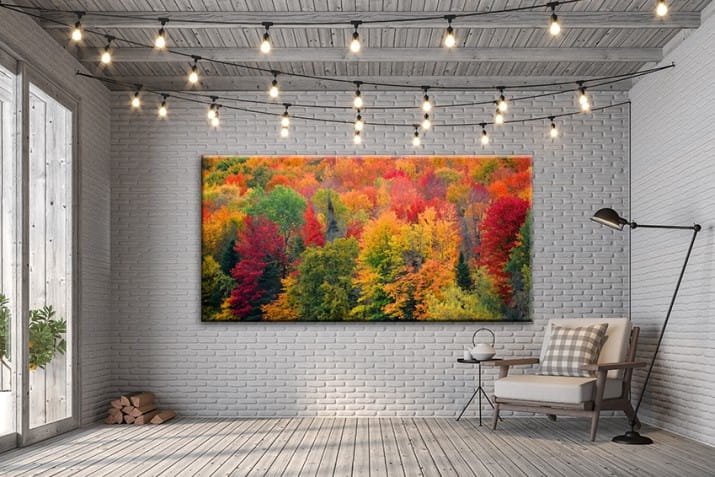 obraz na płótnie canvas jesień las