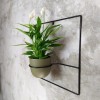 pilea+ czarny kwietnik