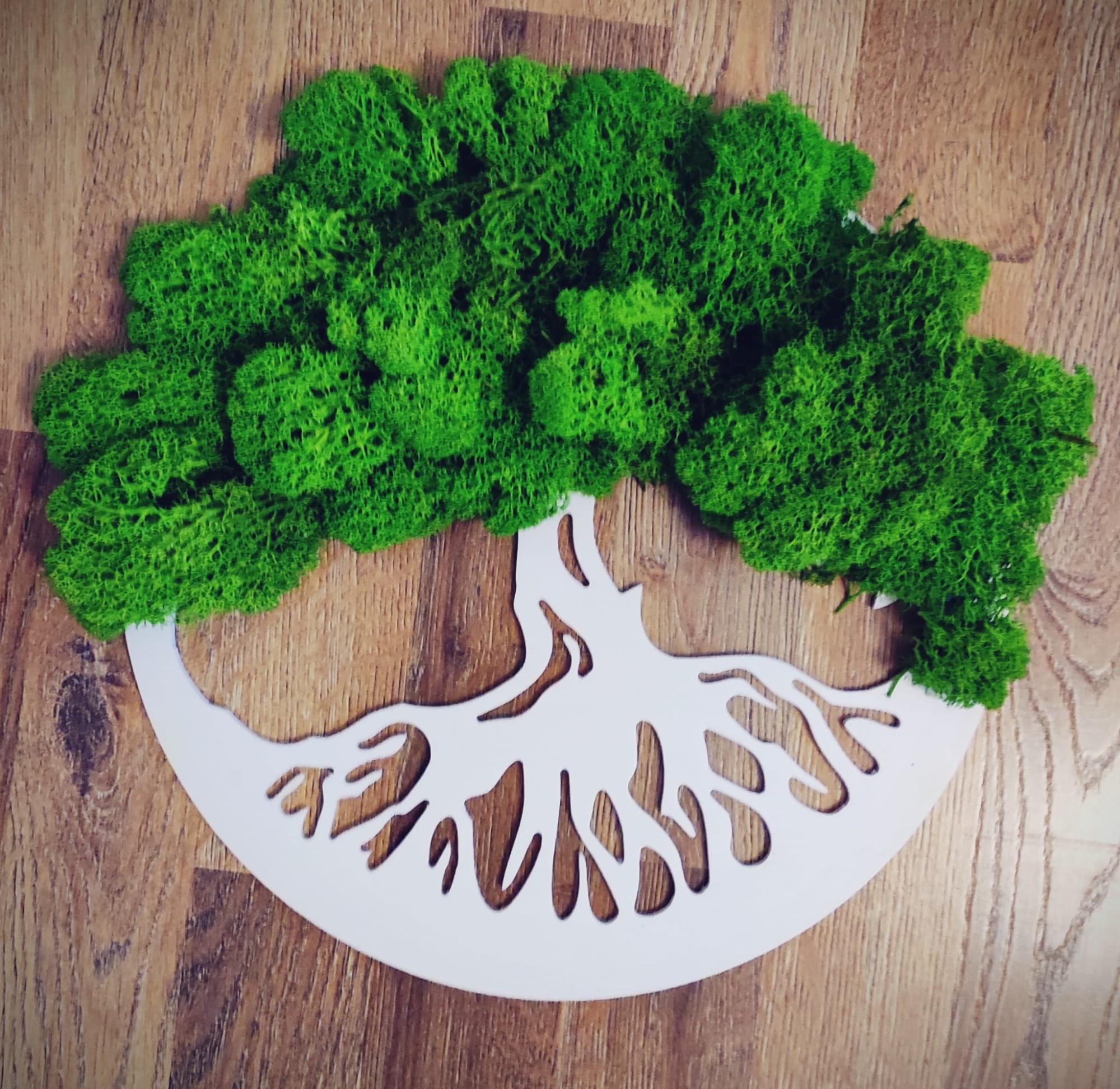 Drzewko okrągła ramka z chrobotkiem