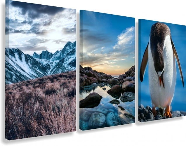 Obraz na płótnie canvas tryptyk