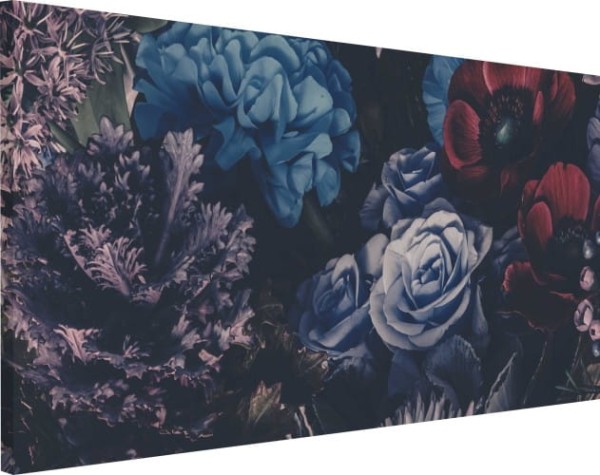 Obraz na płótnie canvas