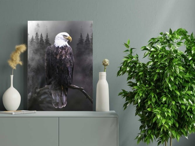 obraz z orłem