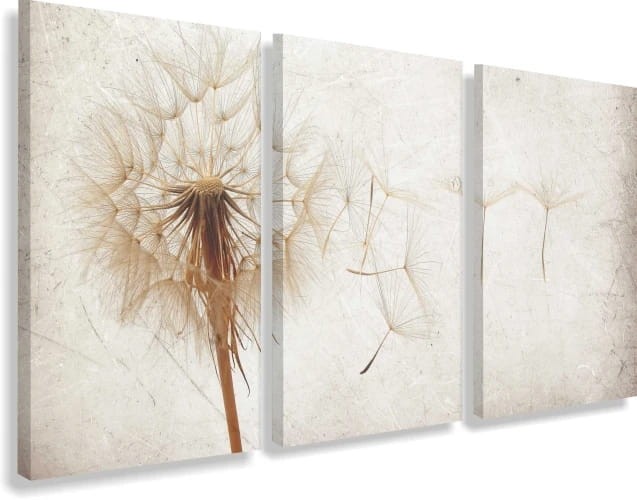 Obraz na płótnie canvas tryptyk  dmuchawce