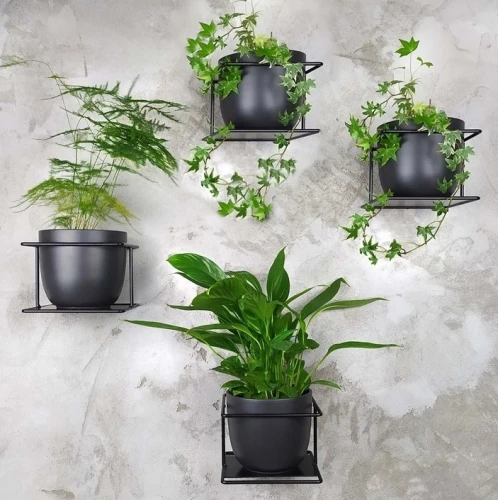 zestaw kwietników ściennych