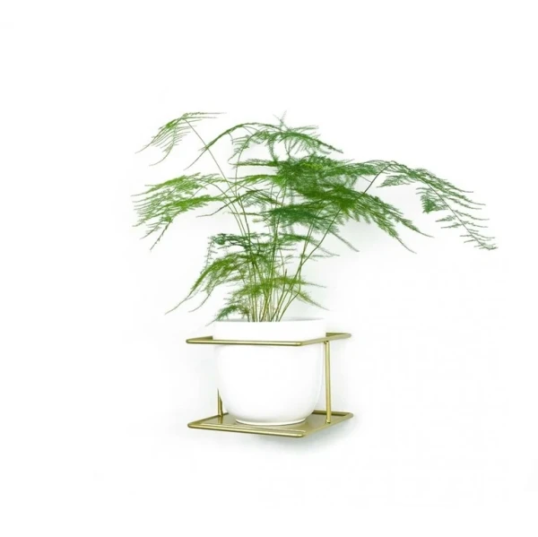 flora kwietnik patihome