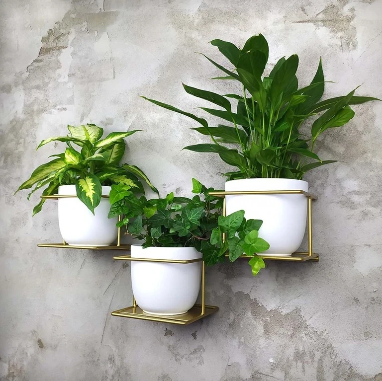 złoty kwietnik metalowy