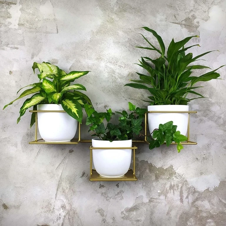 złoty kwietnik patihome.pl