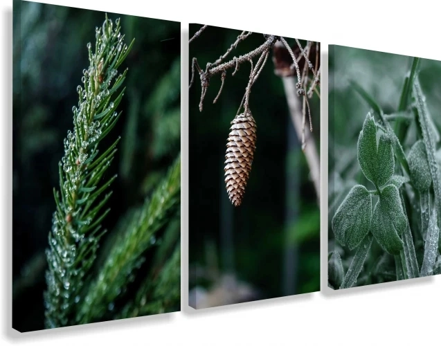 Obraz na płótnie canvas tryptyk natura patihome.pl