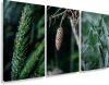 Obraz na płótnie canvas tryptyk natura patihome.pl