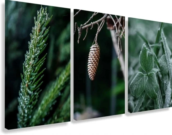 Obraz na płótnie canvas tryptyk natura patihome.pl