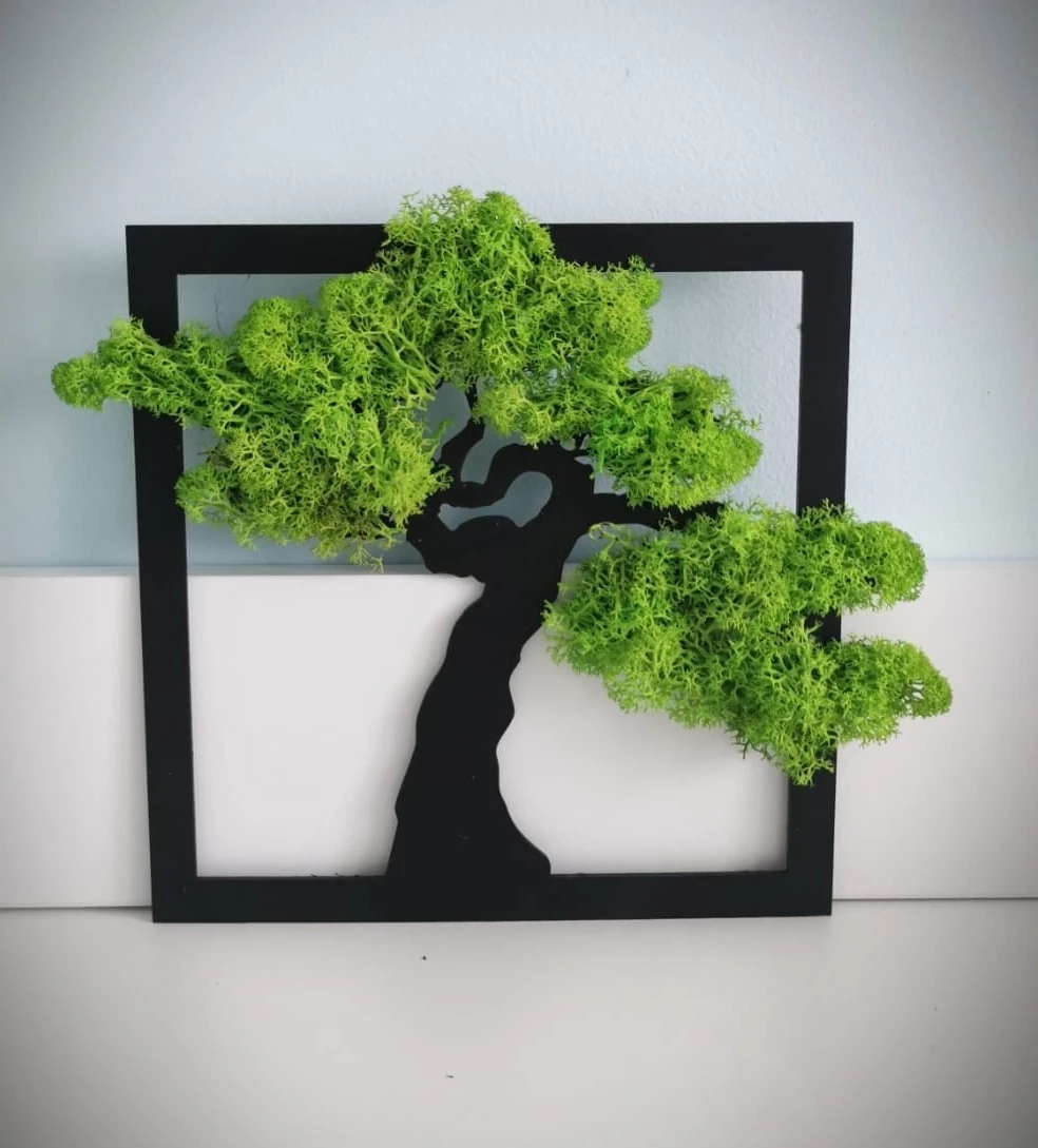 chrobotek patihome.pl