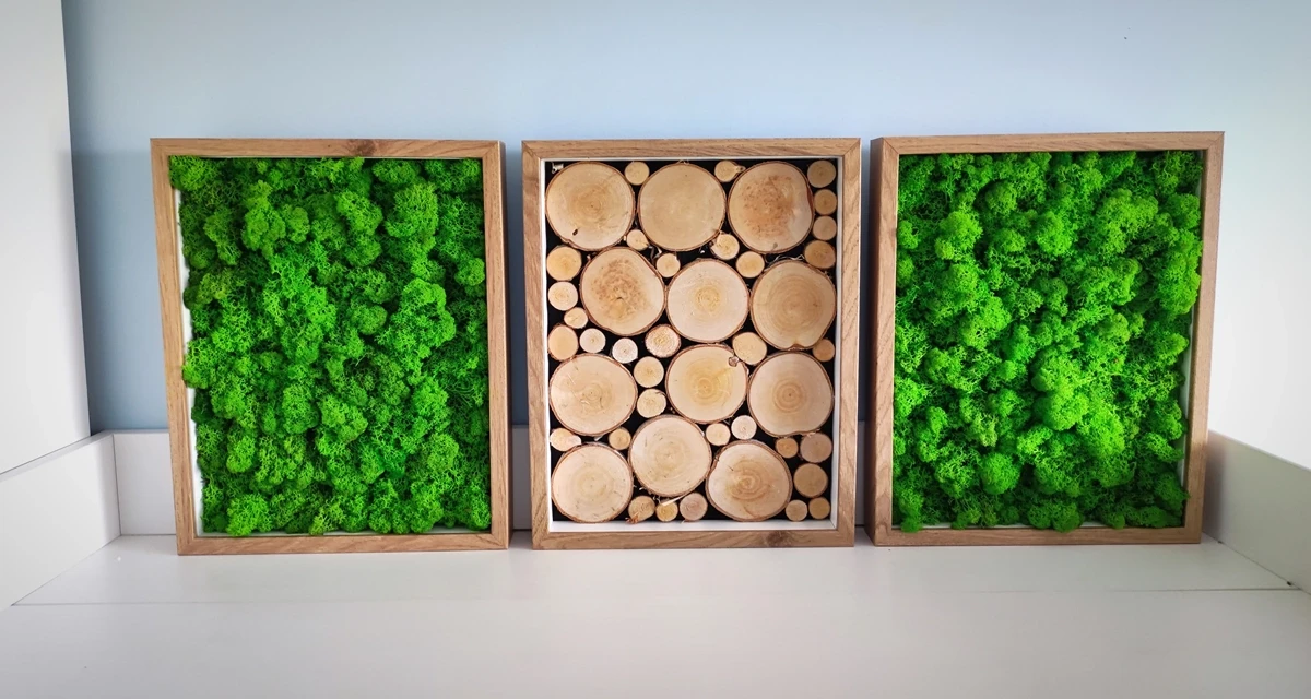 chrobotek mech dekoracja patihome