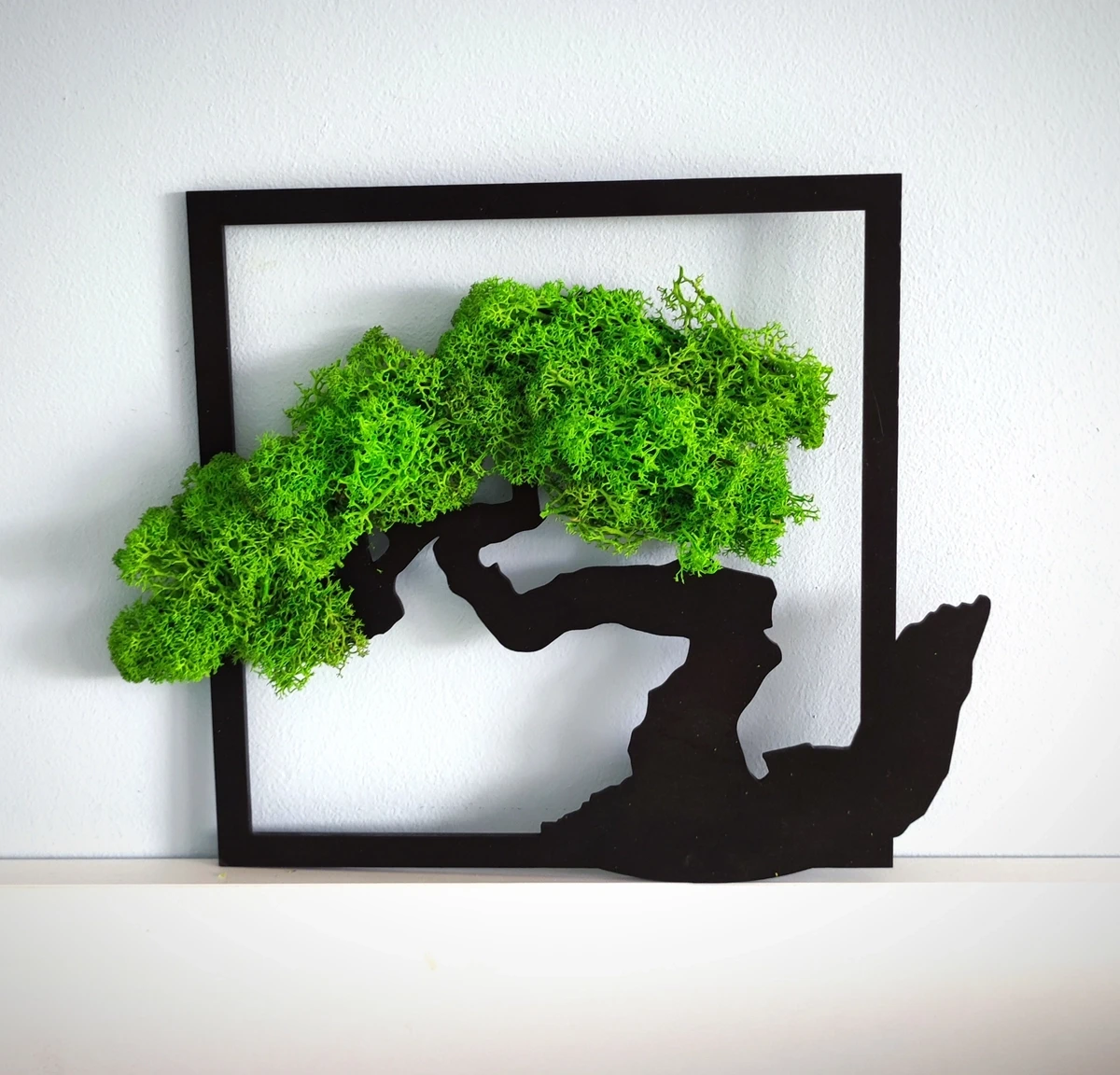 chrobotek ramka bonsai patihome