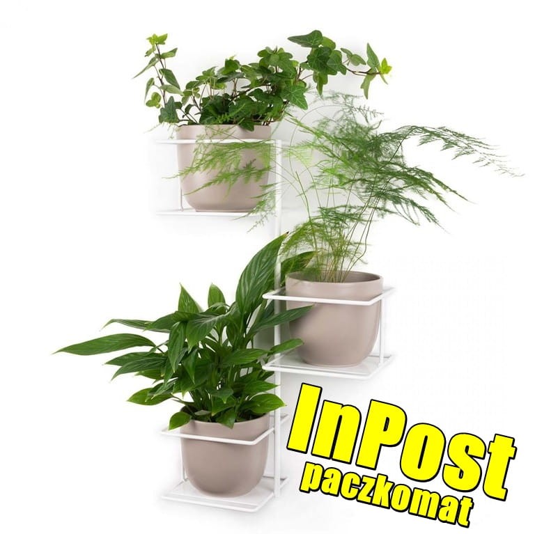 kwietnik bialy paczkomat