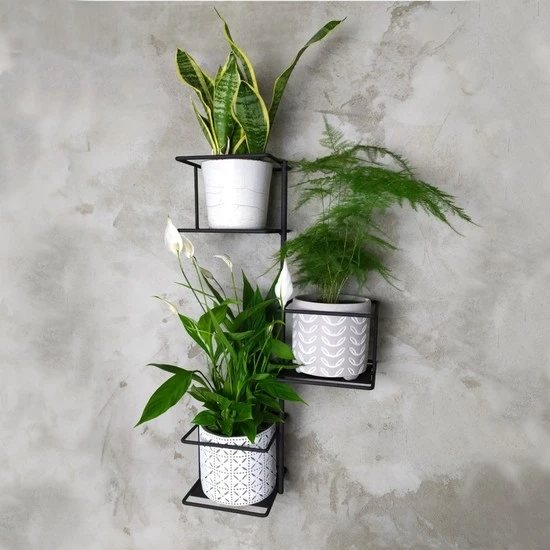 dzungla2 czarny patihome