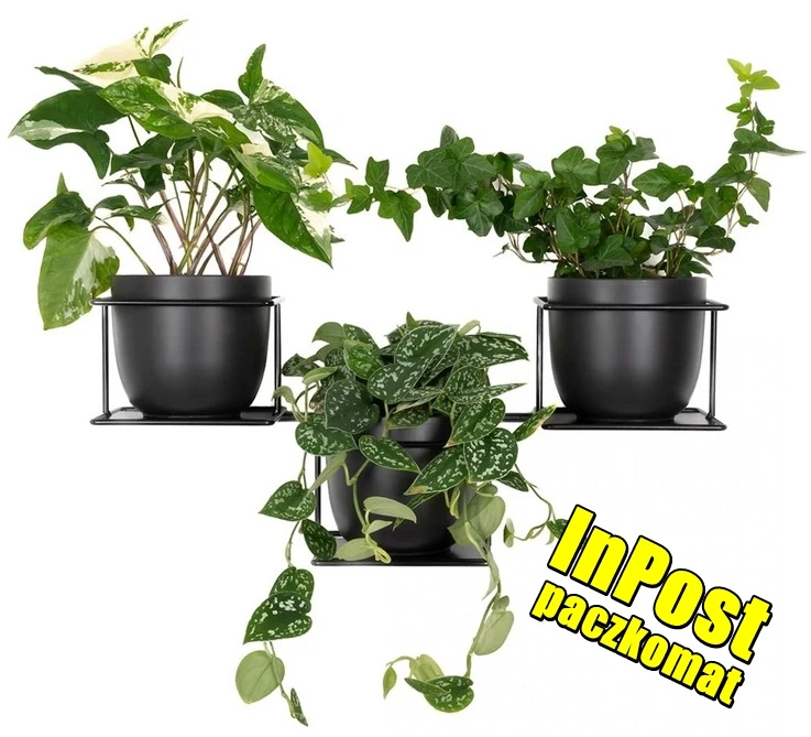 dzungla5 czarny kwietnik inpost211.webp