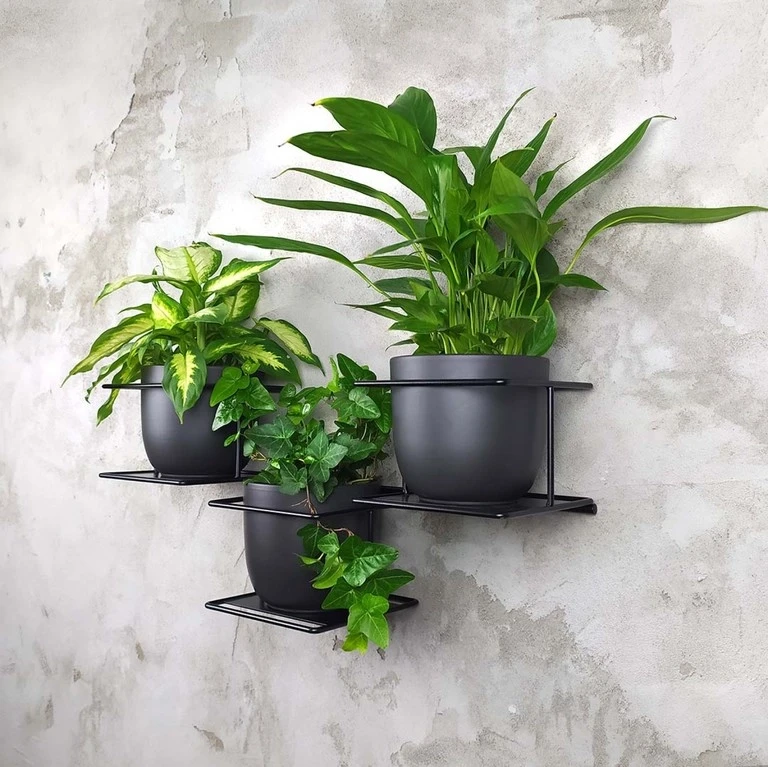 dzungla5 czarny kwietnik inpost1.webp