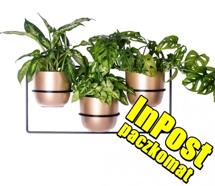 Kwietnik wiszący ścienny metalowy Dawalia Loft czarny