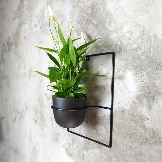 metalowy kwietnik pilea czarny inpost31.webp