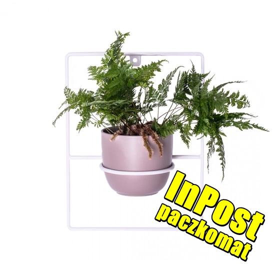 metalowy kwietnik pilea bialy