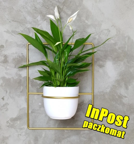 metalowy kwietnik pilea zloty