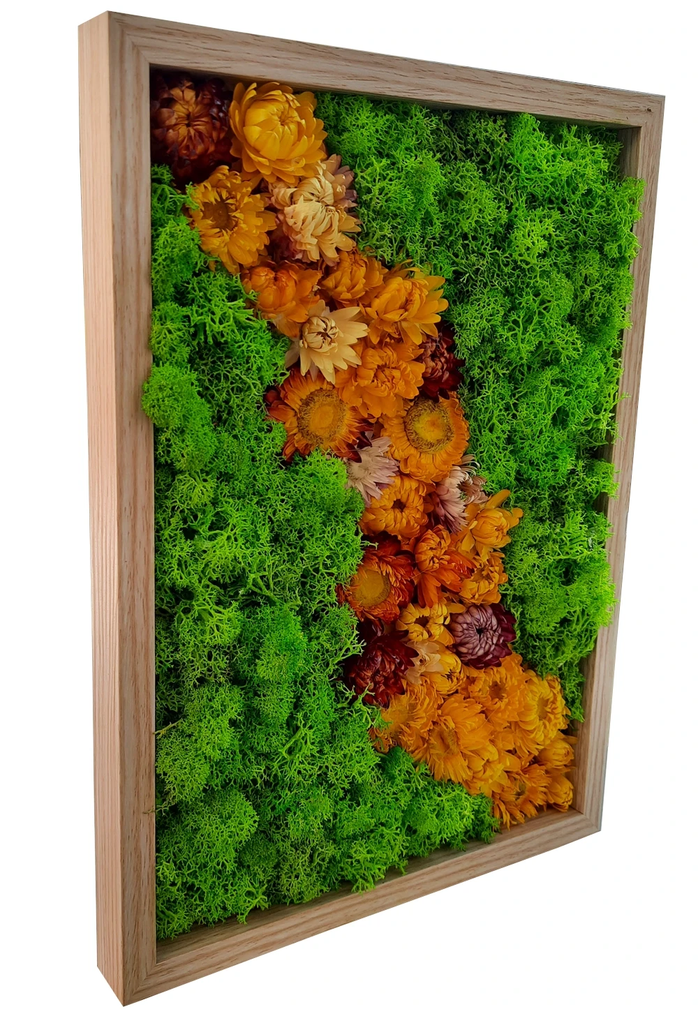 obrazek suszki111.webp