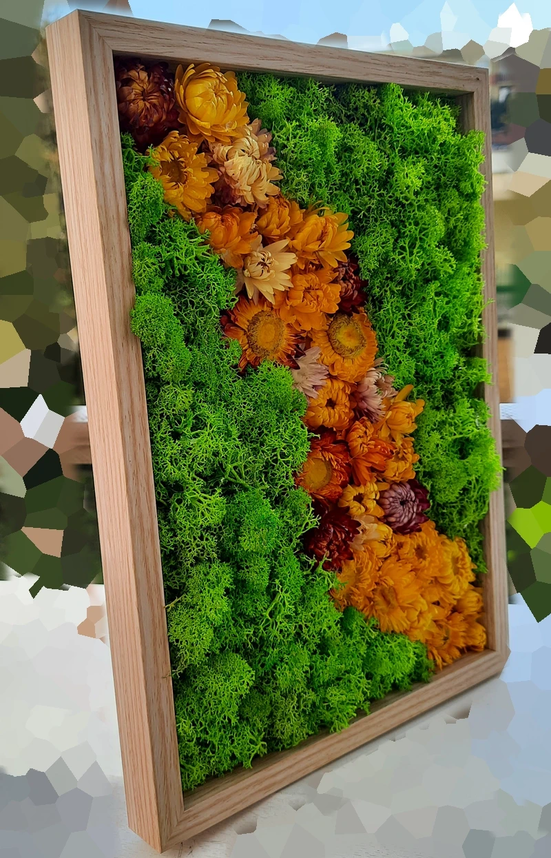 obrazek suszki1111.webp