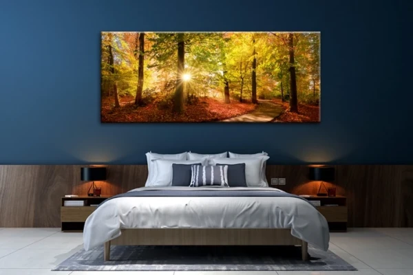 Obraz na płótnie canvas  drzewo jesień