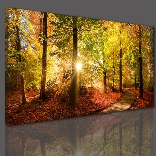 Obraz na płótnie canvas  drzewo jesień