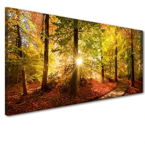 Obraz na płótnie canvas  drzewo jesień