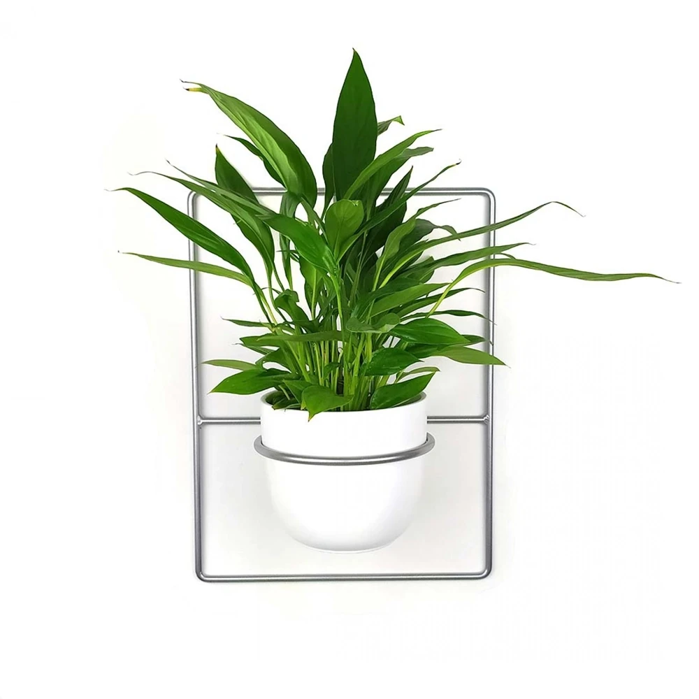 Kwietnik wiszący ścienny metalowy Pilea Loft srebrny
