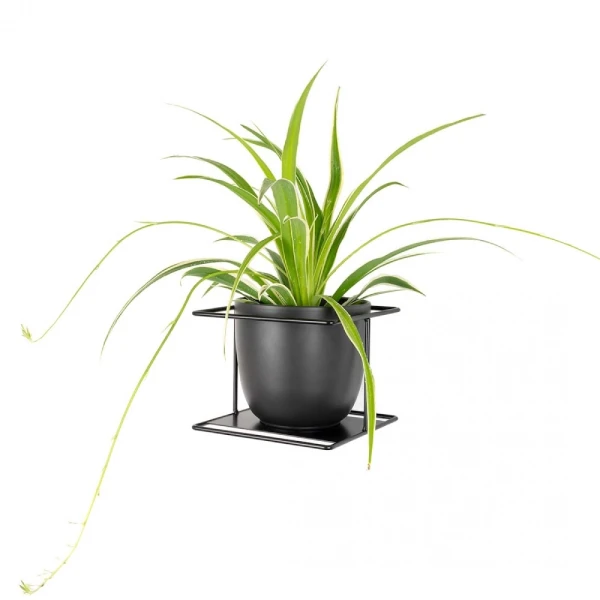 flora xl czarny