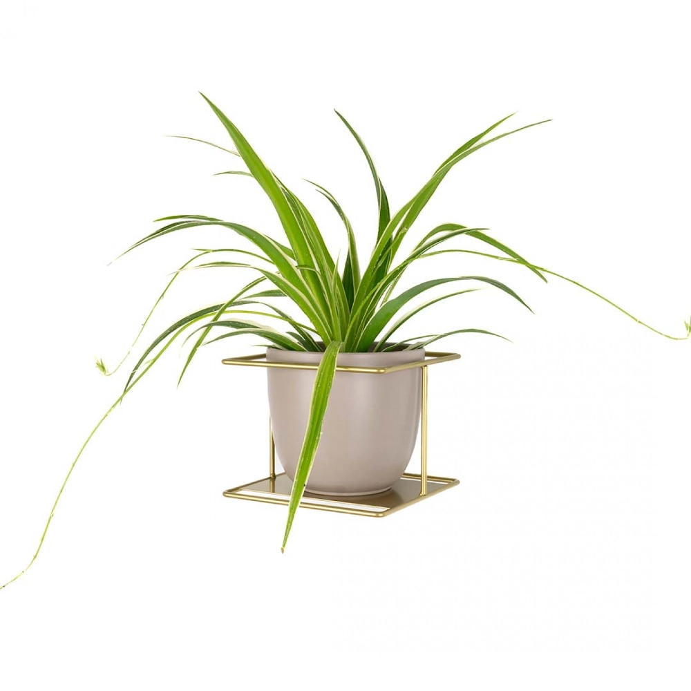 Kwietnik  ścienny złoty Flora XL loft industrialny