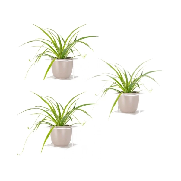 Kwietnik ścienny biały Flora XL Zestaw 3 szt