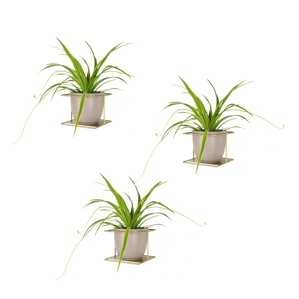 3szt złoty kwietnik.webp