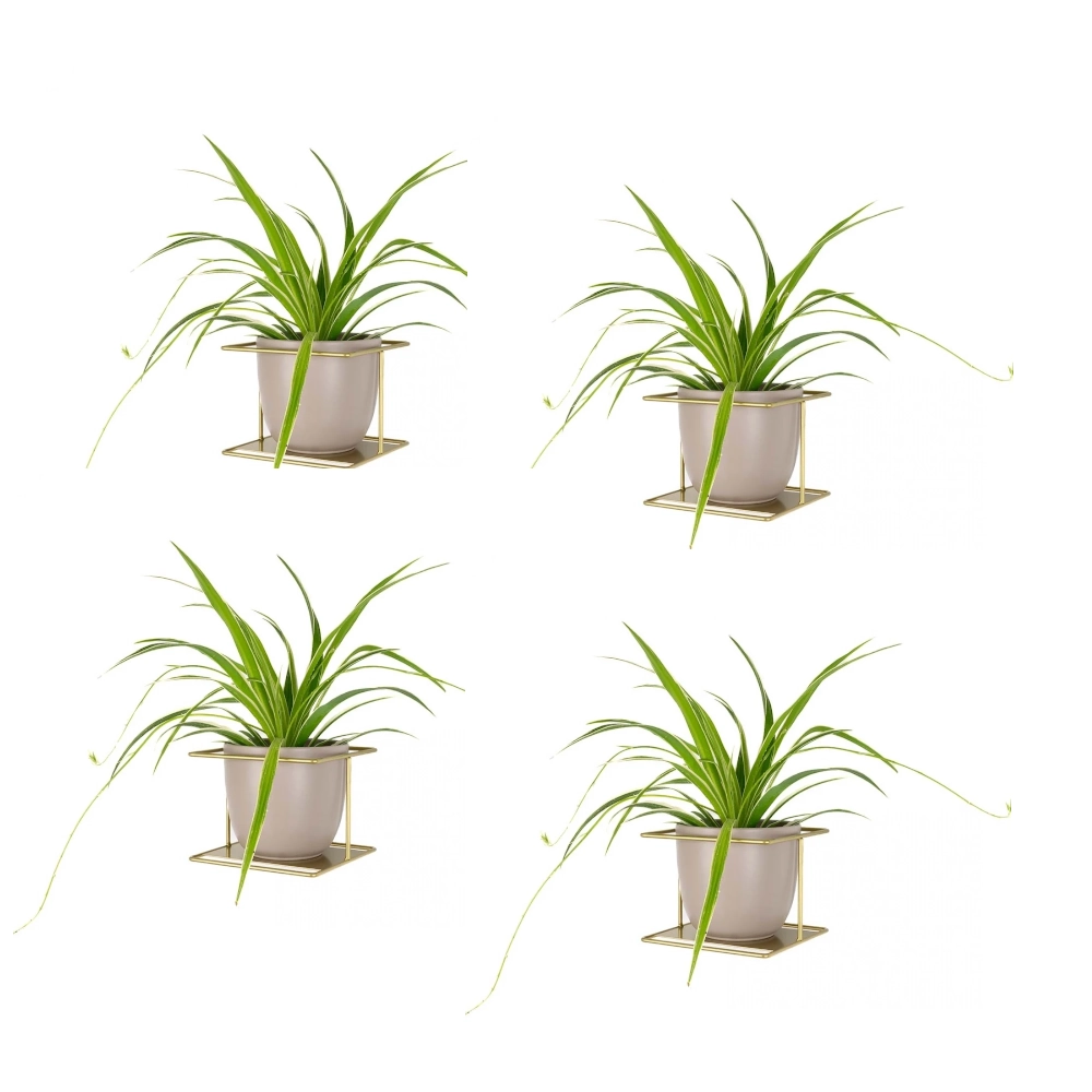 Kwietnik ścienny złoty Flora XL Zestaw 4 szt