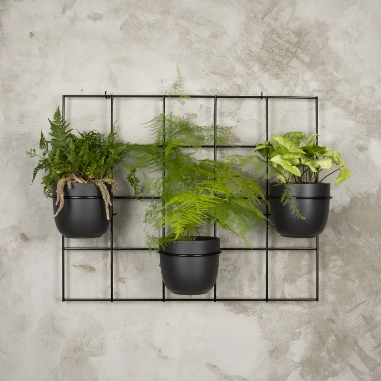 Kwietnik wiszący ścienny czarny Hedera3 krata + obręcze
