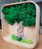 Ramka-3D-chrobotek-moss-drzewko
