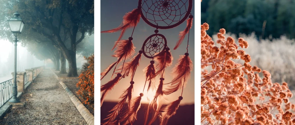 plakat-boho-lapacz-snow