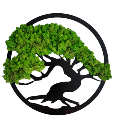 bonsai-drzewko-chrobotek