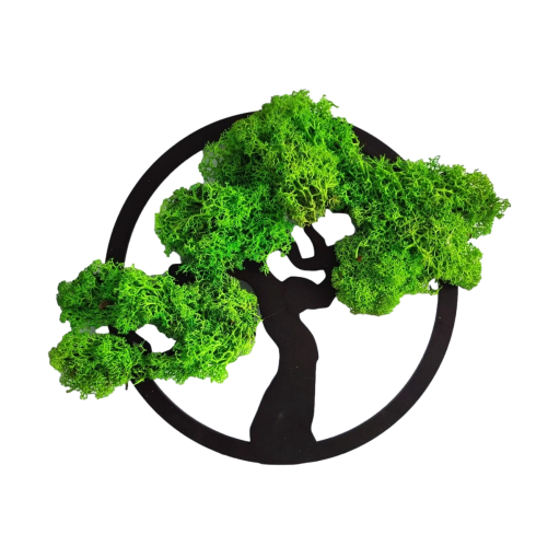 drzewko-chrobotek-okrągła-ramka